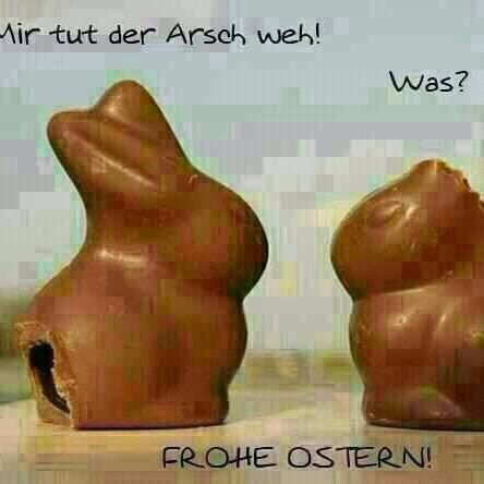 Bild einfügen